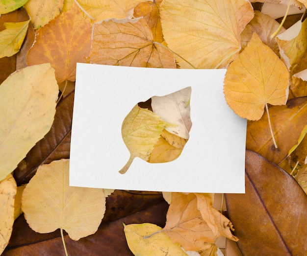 Autumn shapes with leaves concept