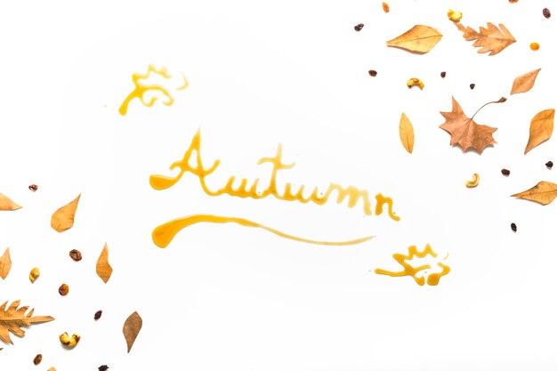葉のフレームの秋のサインコンセプト