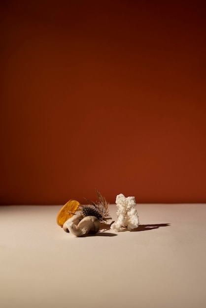 Foto gratuita assortimento di nature morte autunnali