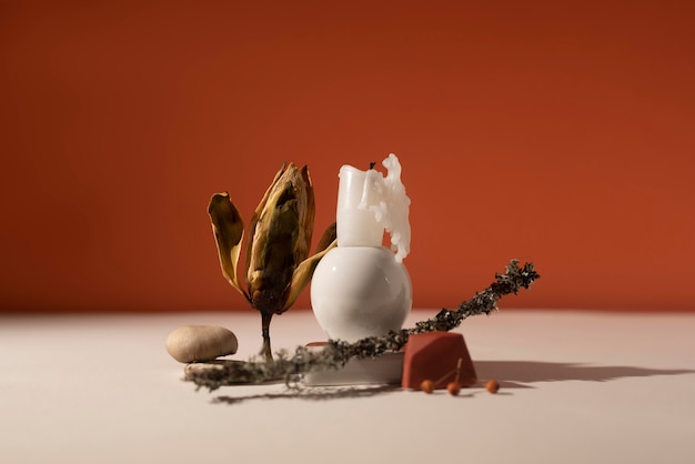 Foto gratuita assortimento di nature morte autunnali