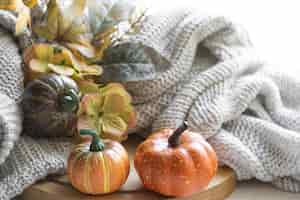 Free photo autumn still life with pumpkins leaves and knitted element