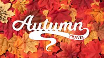 Free photo autumn travel lettering with leaves