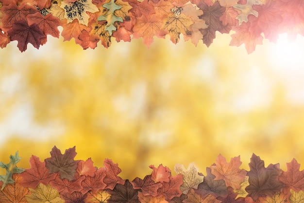 Autumn tree leaves side frame pattern