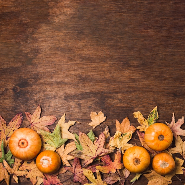 Autumn vegetables and leaves copy space