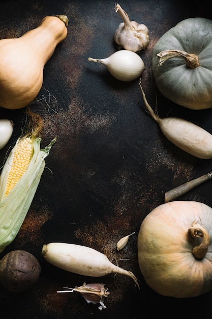 Assortimento delle verdure di autunno sul fondo dello spazio della copia di lerciume