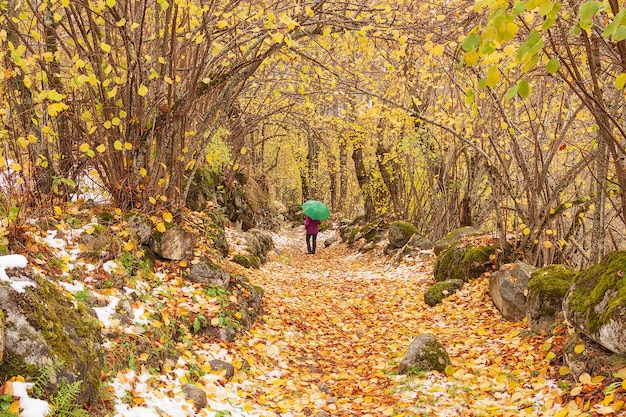 Autumn walk with the first snow