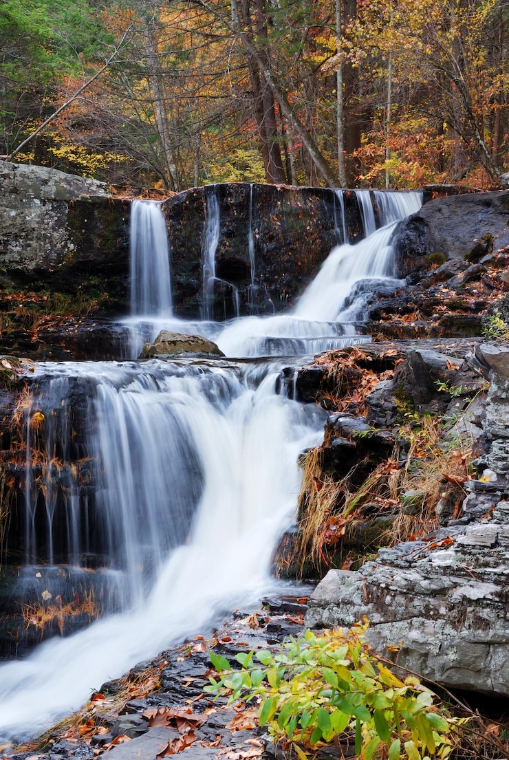 Free Photo autumn waterfall in mountain