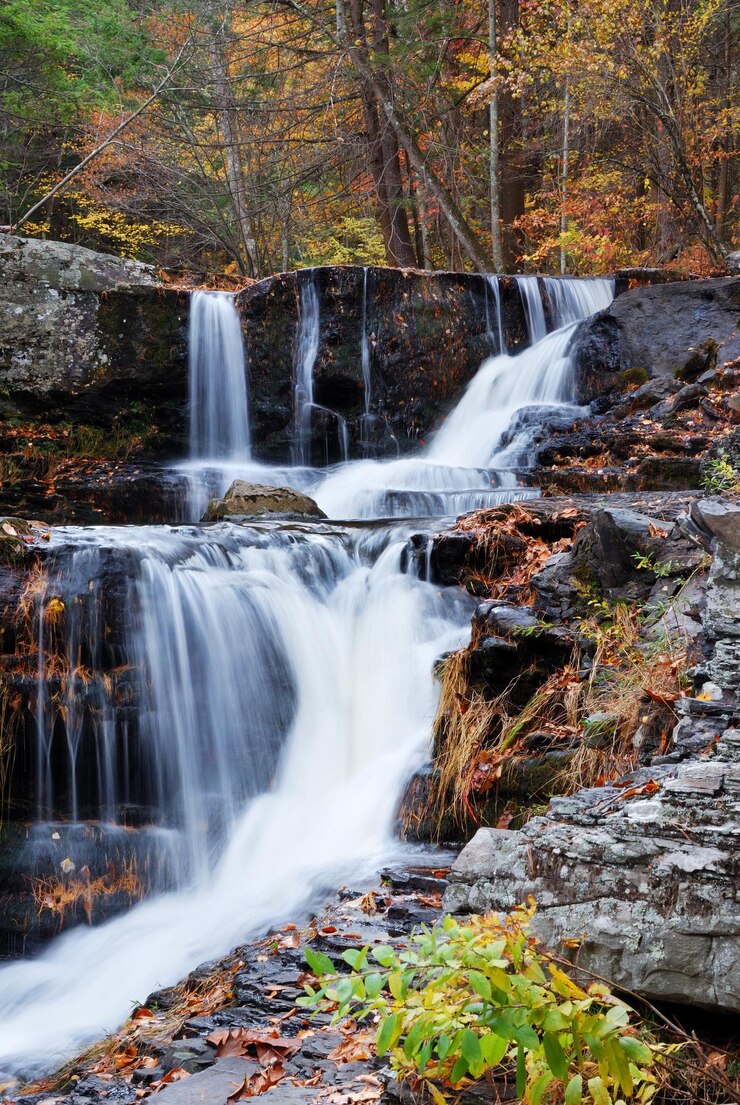 Free Photo autumn waterfall in mountain
