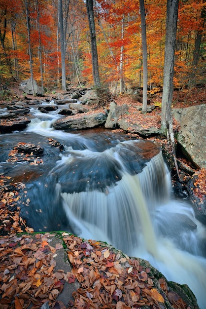 Autumn waterfalls in park with colorful foliage.