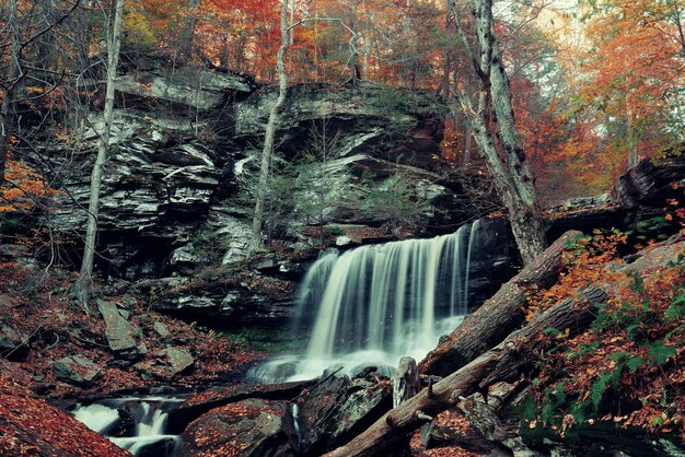 Autumn waterfalls in park with colorful foliage.