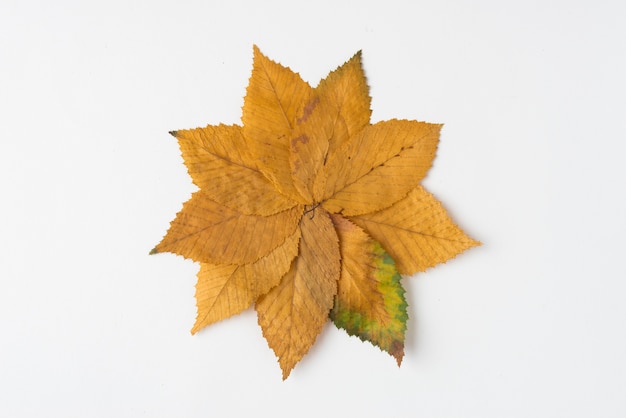 Autumn yellow leaves forming flower