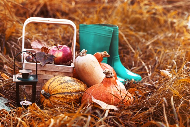 Autumnal arrangement in straw