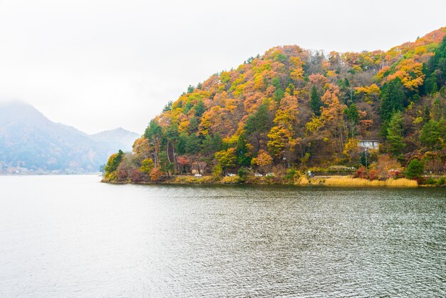 Autumnal landscape with lake and trees