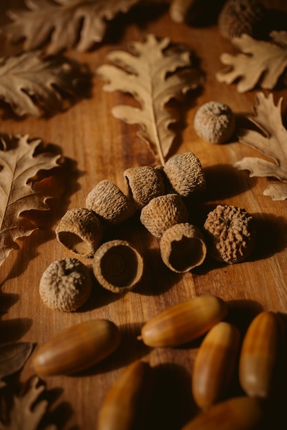 Autumnal wall. Oak leaves and acorns with selective focus. Close up view of fallen oak leaves.