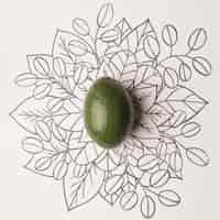 Free photo avocado over outline floral background