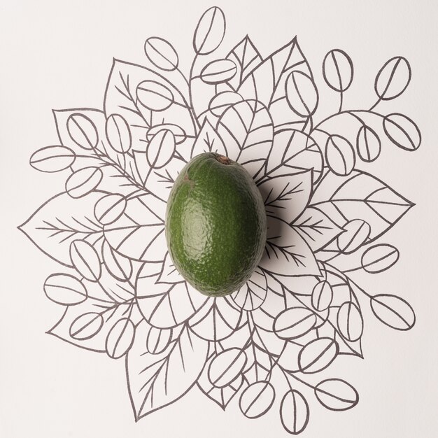 Avocado over outline floral background