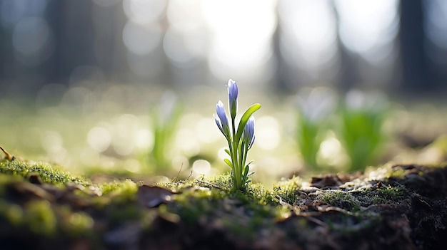 Foto gratuita il risveglio delle fiorite primaverili e la rinascita