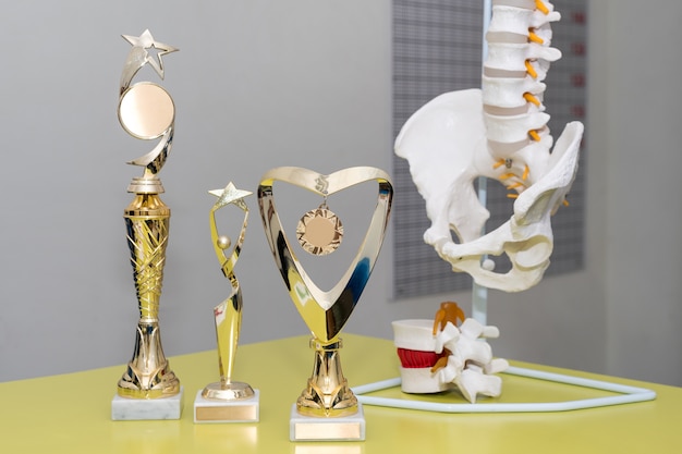 Explore Different Types of Awards And Trophies