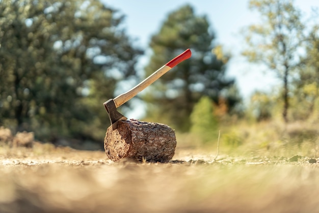 Free photo ax on a tree trunk on background of a roadway