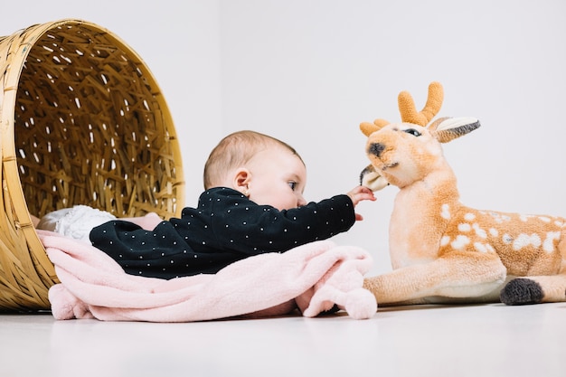 Baby in basket touching plush deer