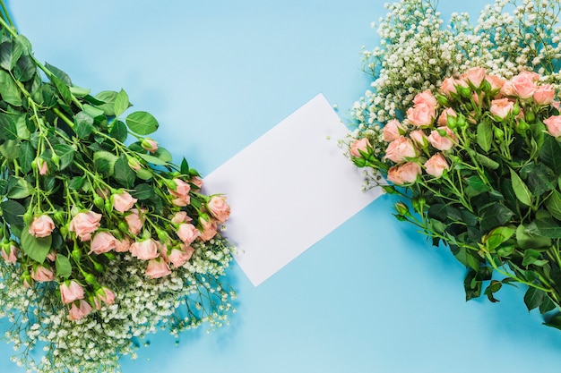 Baby's-breath flowers and roses with blank white card on blue background