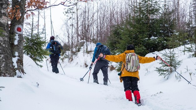 The back of experienced friendly hikers with bright ski costumes and colorful hats