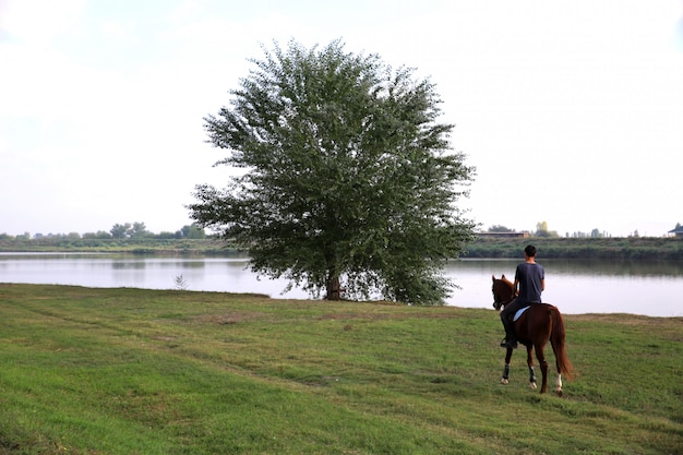 湖の近くの木に向かって馬を運転する男の裏