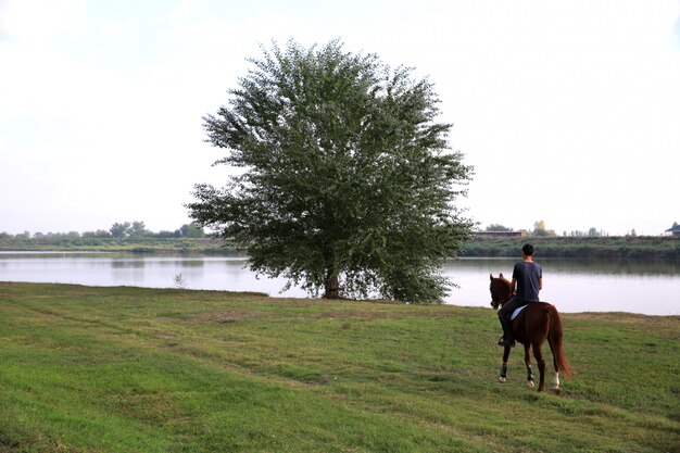 Back of the man driving horse towards the tree near the lake