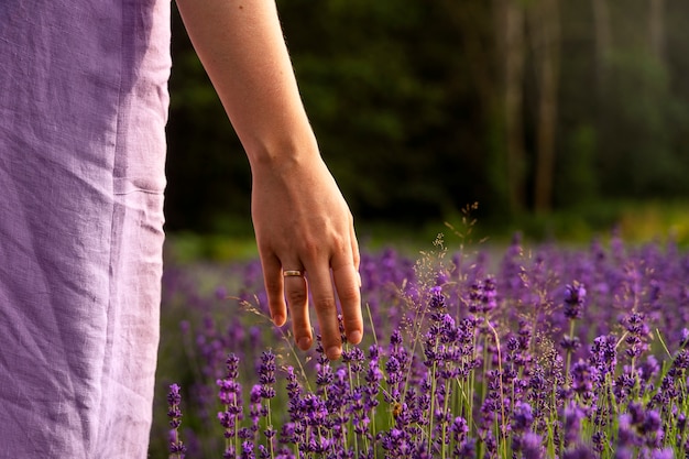 Back view adult in lavender field