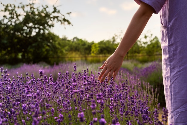 Back view adult walking in lavender field