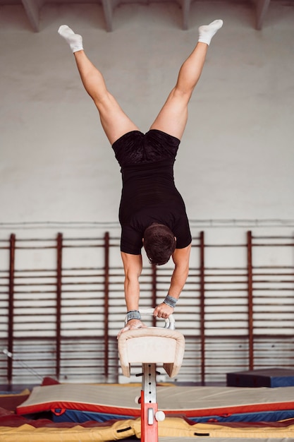 Free photo back view athletic man exercising on pommel horse