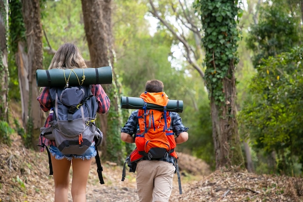Free photo back view of backpackers walking on mountainous trail. caucasian hikers or traveler carrying backpacks and hiking in forest together. backpacking tourism, adventure and summer vacation concept