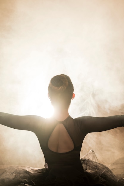 Free photo back view ballerina in the smoke