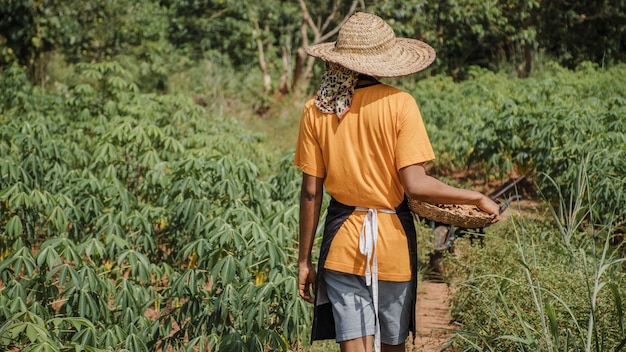 Back view of countryside worker out in the field