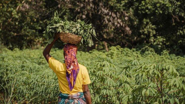 Back view of countryside worker out in the field