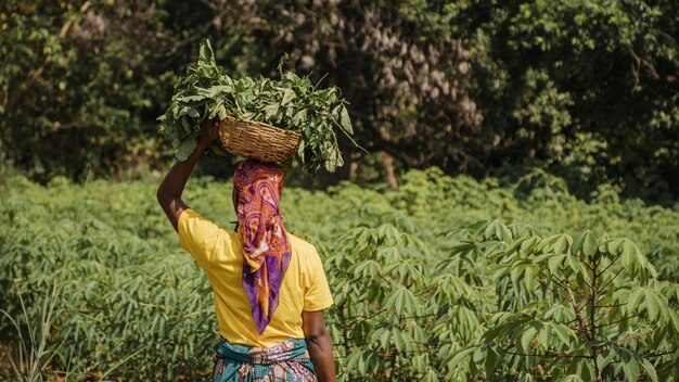 back view of countryside worker out in the field