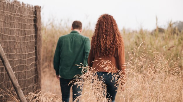 Back view couple walking through wheat field