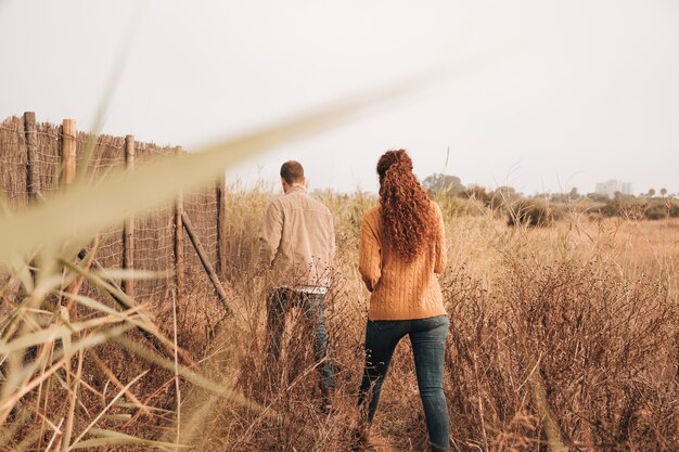 Back view couple walking through wheat field