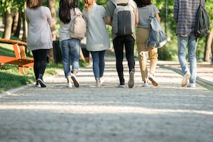 Back view cropped picture of multiethnic group