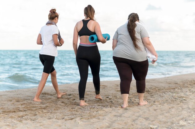 Back view friends walking on the shore