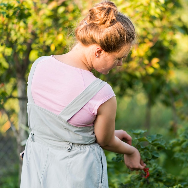 Free photo back view girl picking fruits