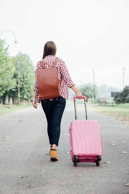 バックパックとピンクの荷物を持つ背面図少女