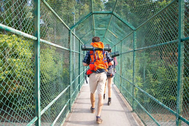 Back view of hikers walking on bridge surrounded with green grid. Two tourists carrying backpacks and going through pathway. Tourism, adventure and summer vacation concept