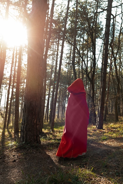 Back view little red riding hood in the forest