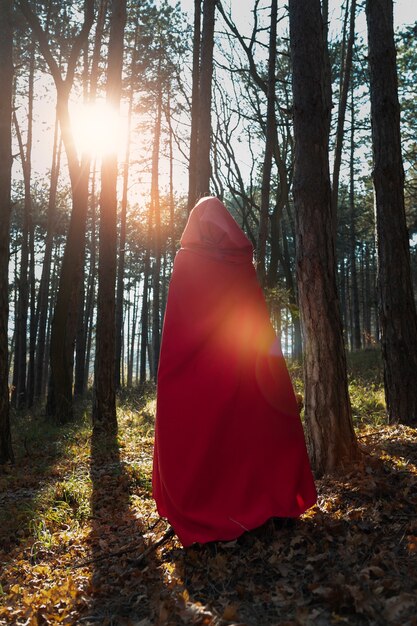 Back view little red riding hood in the forest