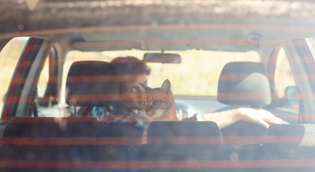 車の中で猫を保持している背面図男