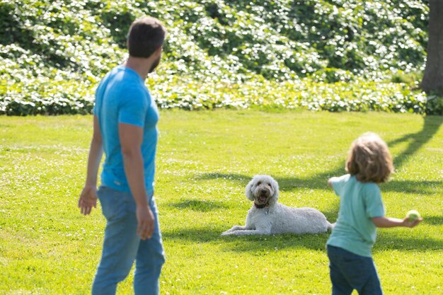 Вид сзади семьи с собакой, расслабляющейся в парке