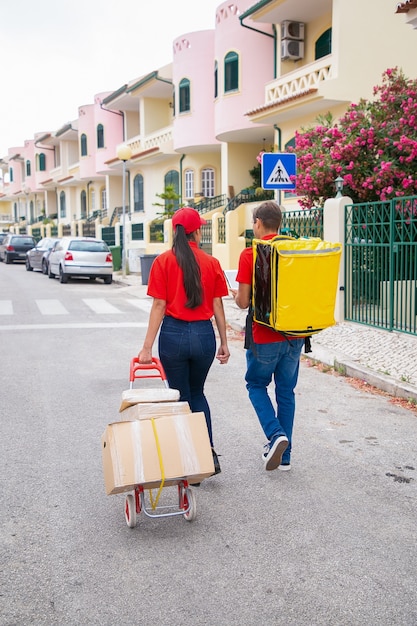 Back view of two post workers walking with thermo bag and boxes on trolley. Professional couriers delivering orders together.