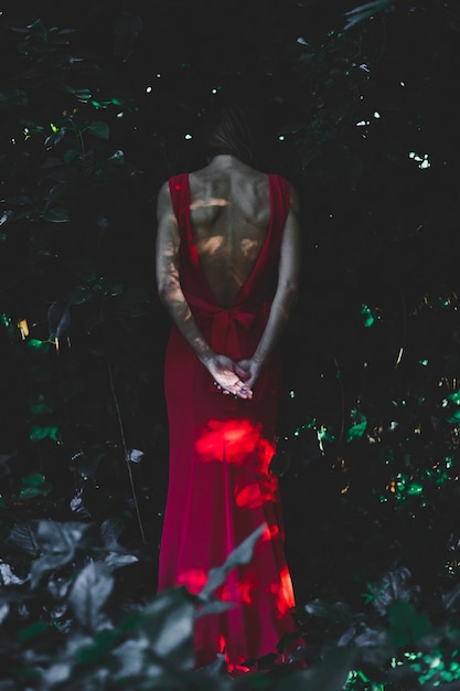 Вид сзади женщина в темном саду