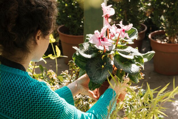 Back view of woman holding flower in pot